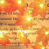 Hanging LED String Light Halloween Pumpkin String Lamp Maple Leaves Garland  Home Decoration