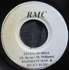 7-дюймовая пластинка ELEPHANT MAN RICKY RUDIE Living In Hell NONE RMC Records Ямайка Регги Ска Даб Б/у