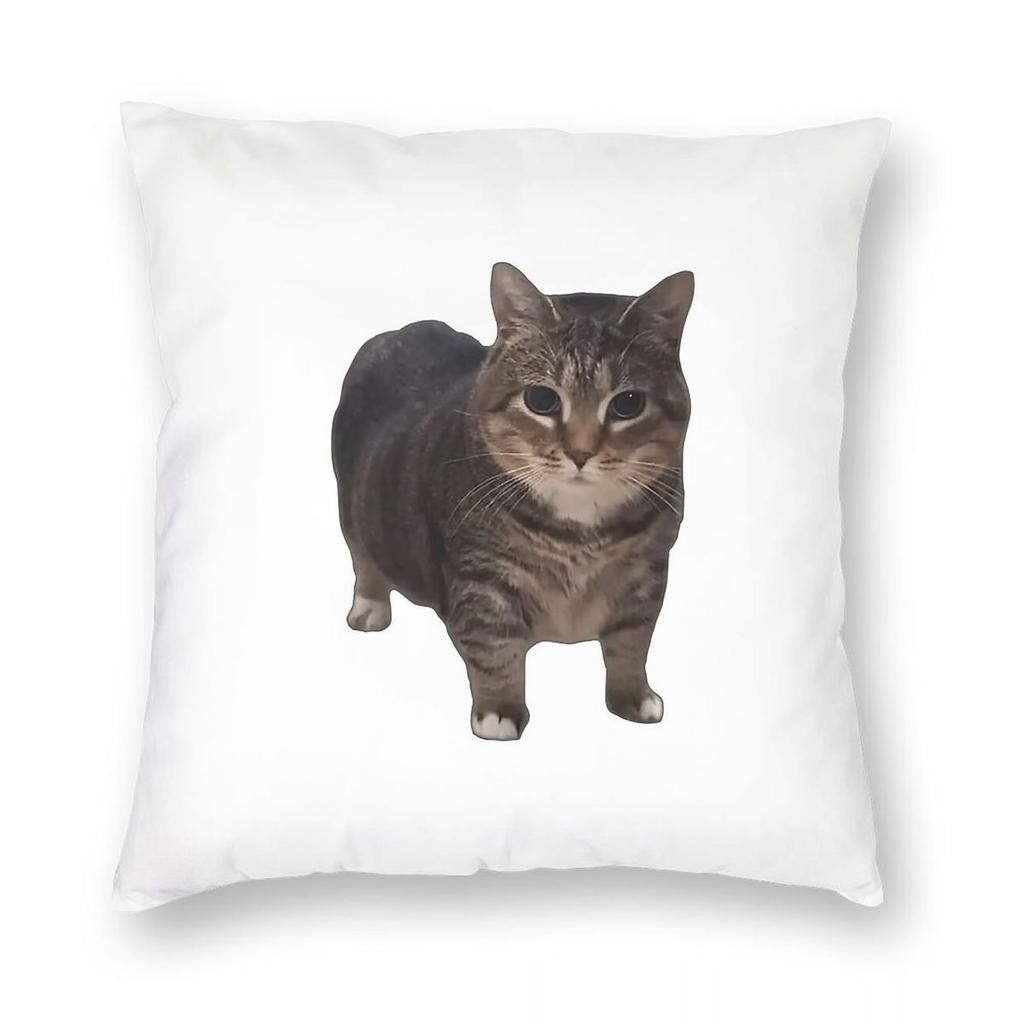 Oiia Oiia Spinning Cat Pillowcase Polyester Linen Velvet Pattern Zip Decorative Throw Pillow Case Room Cushion Cover x