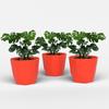 Гексагональный 6-дюймовый набор из 3 пластиковых цветочных горшков для домашнего декора, горшки для комнатных растений для гостиной, пластиковый цветочный горшок для сада (красный)