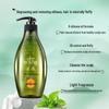 Ziyuan Anti-Dandruff & Oil Control Shampoo Set