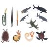 12Pcs Ancient Marine Animal Models Toys Exquisite Vivid Simulation Design Ancient Marine Animal