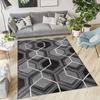 Washable Printed Carpet RVGHOME0563