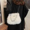 Plush Bag Women's Autumn and Winter Versatile 2025 New Niche Design Chain Single Shoulder Messenger Bag Portable Plush Bag