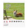 2025 Корги Сенрю (Еженедельно) Календарь №027