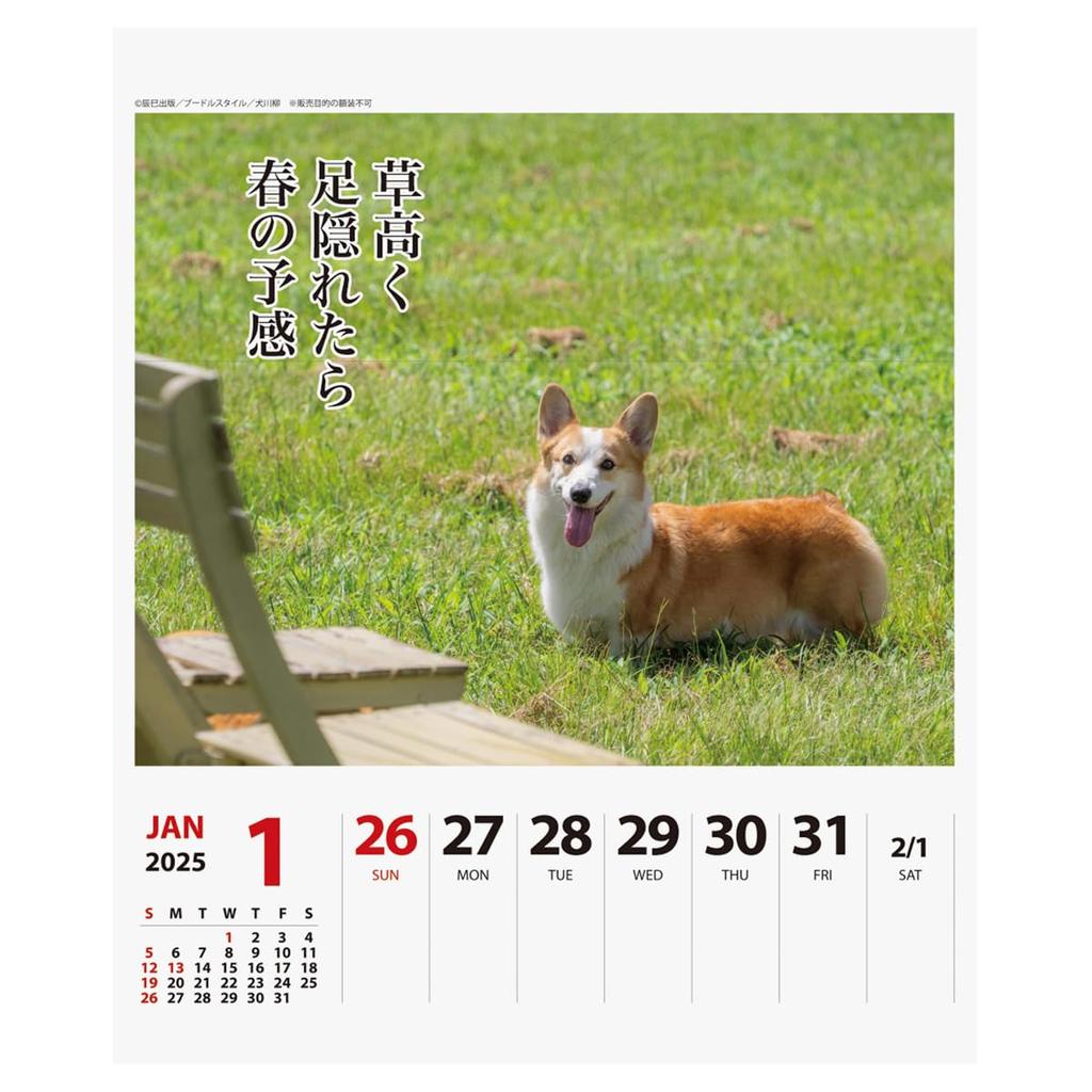 2025 Корги Сенрю (Еженедельно) Календарь №027