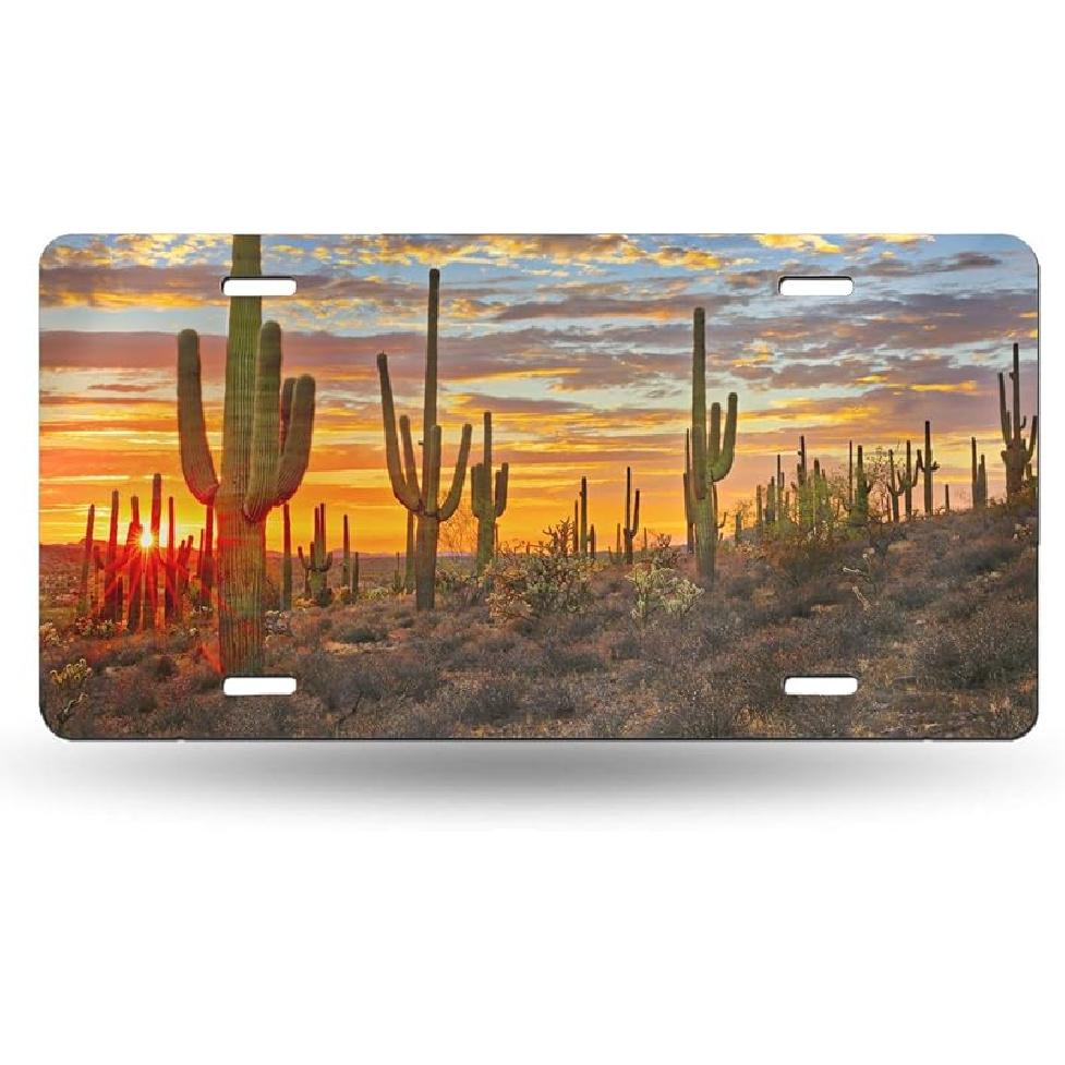 Black Cat Eyes Watching Front License Plate Aluminum Decorative License Plates Funny Metal Car Plate 6"X12" Novelty Vanity Tag Cover With 4 Holes Car
