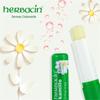 HERBACIN Chamomile Repair Lip Balm
