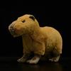 22cm High Lifelike Capybara Stuffed Animals Toys Real Life Cute Capybara  Plush Toy Birthday Christmas Gifts For Kids