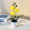 Small Ball Chrysanthemum Faux Chrysanthemum Flowerpotted Plastic Fake Flower  Home Decoration