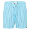 Regatta Mens Loras Striped Swim Shorts