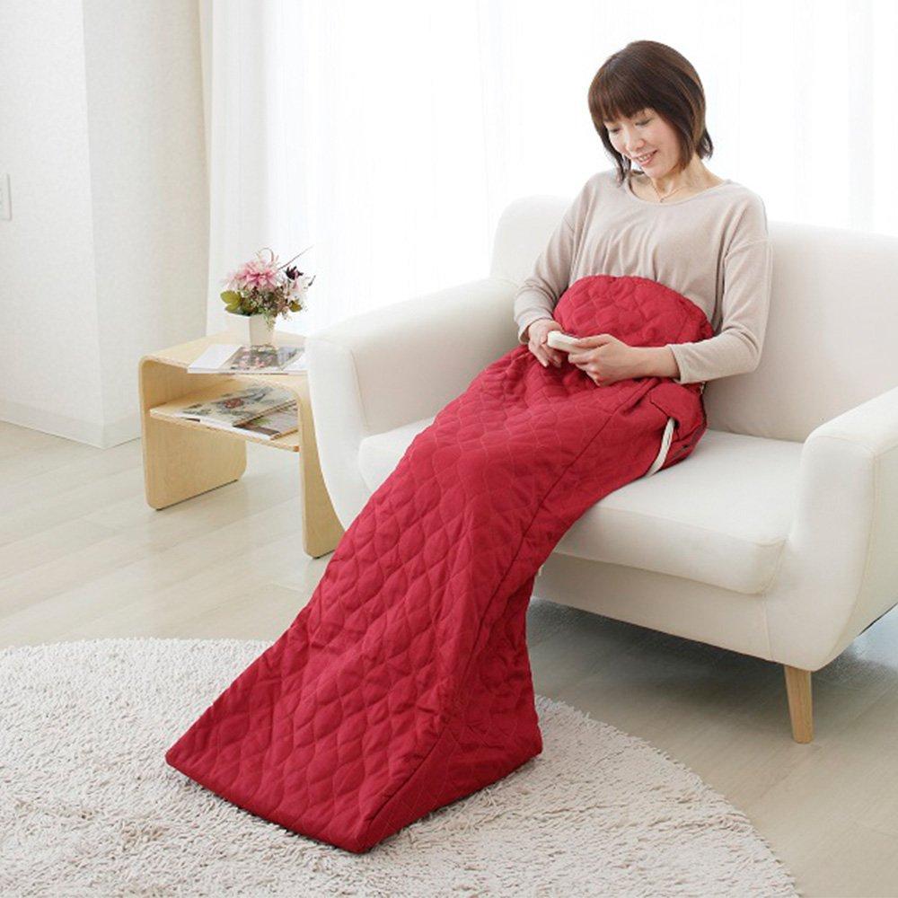 Sugiyama Boshoku Hot Leg Heater Electric Foot Warmer NA-21SHZ(WR)