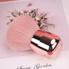 Portable Mushroom Powder Brush Soft Bristles Gel Dust Brush New Nail Dust Brush  Manicure