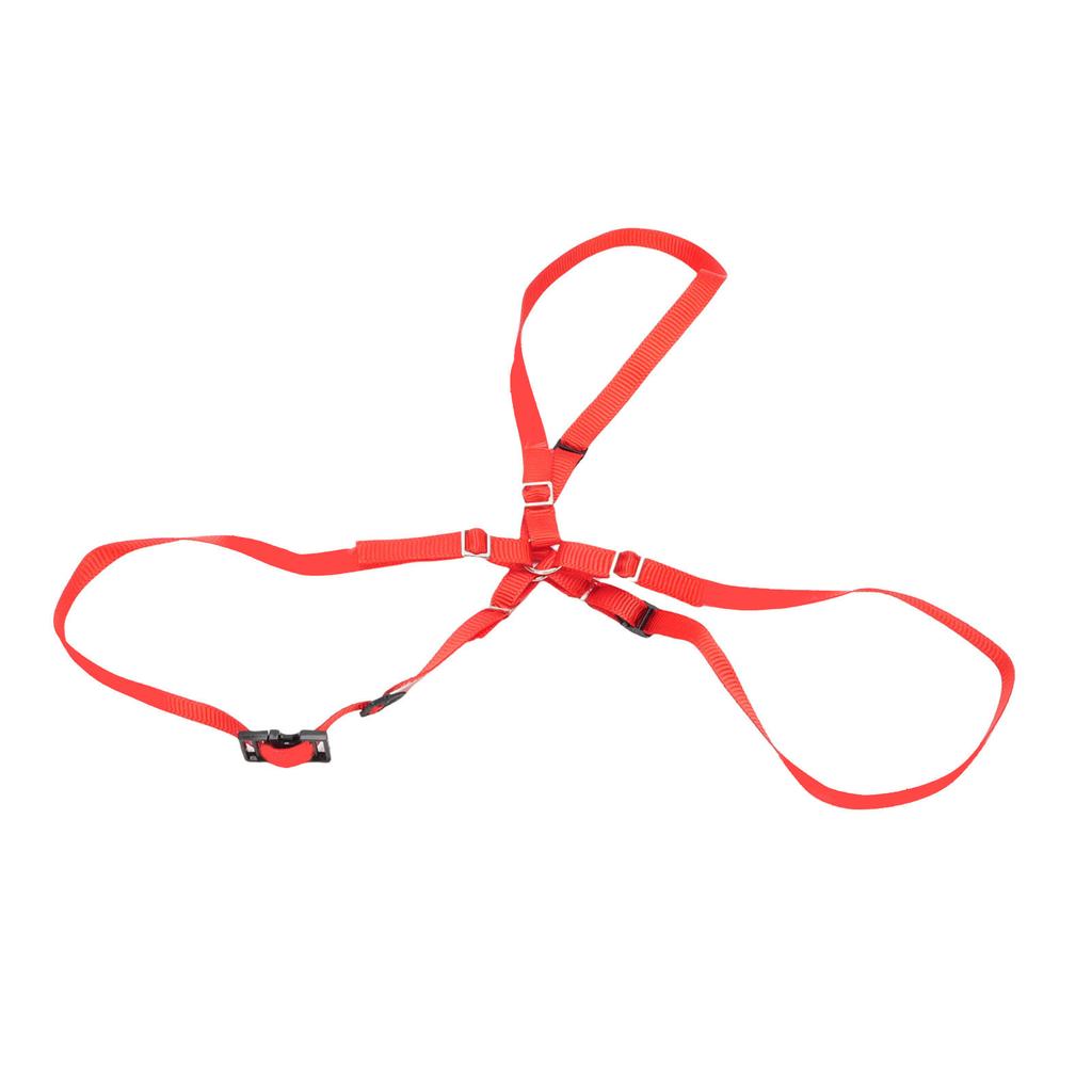 Spare Tire Strap Kit Fit for TRAXXAS UDR 1 10 RC Cars Nylon Spare Tire Fixed Y Strap with Hooks Red