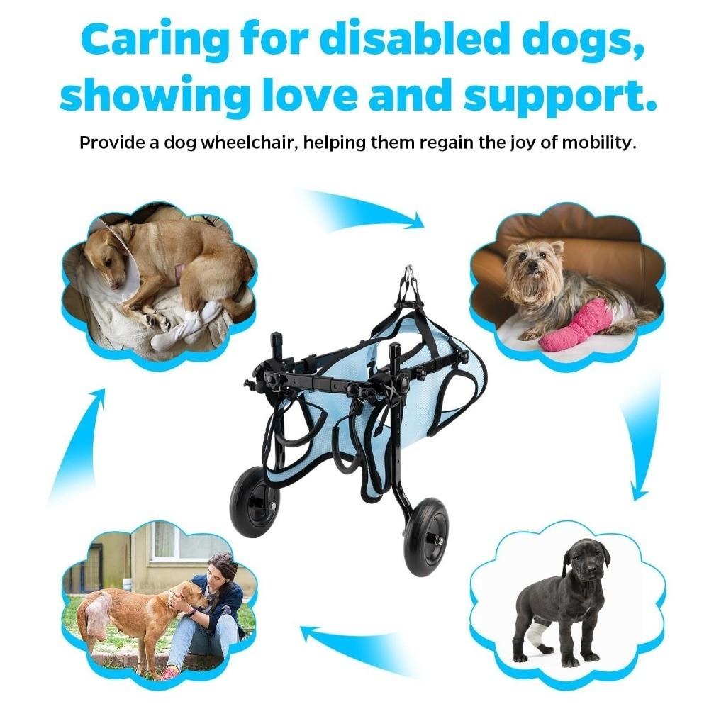 Adjustable Dog Wheelchair Comfortable Rehabilitation Walking Assistant  Pets Rehabilitation