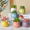 Siawadeky Cute Flower Set of Stylish Succulent Macaron Ceramic Planter Round Cactus Suitable for Mini Garden Drainage Hole Included Pots, 6, Pots,