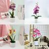 Butterfly Orchid Artificial Plant With 3d Printing For Home Decor And Photography Props
