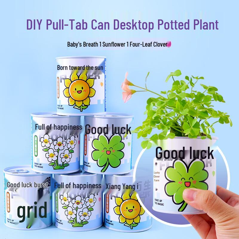 DIY Mini Potted Plant Growing Kit