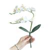 Artificial Butterfly Orchid Silk Flower Phalaenopsis Bouquet Home Wedding Decor