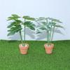 Mini Green Plants Potted Plants Plants Turtleback Bamboo Dollhouse Model Simulation Shooting Props Desktop Decor