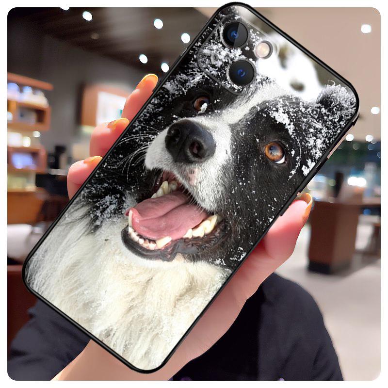 Border Collie Dog Case For iPhone 16 13 14 11 12 15 Pro Max X XR XS Max Plus 14 Plus Back Cover