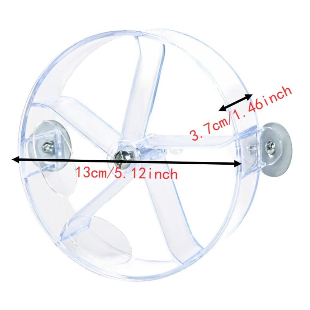 Rotate Training Parrot Food Wheel Wheel Design Bird Training Toy Seed Ball Toy For Medium Parrots