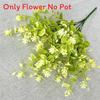 Sampsonii Hance Hypericum Plastic Green Plant Wedding Photography Decor