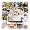 50 Internet Cat Expression Pack: Graffiti Stickers for DIY, Phone & Luggage - Waterproof