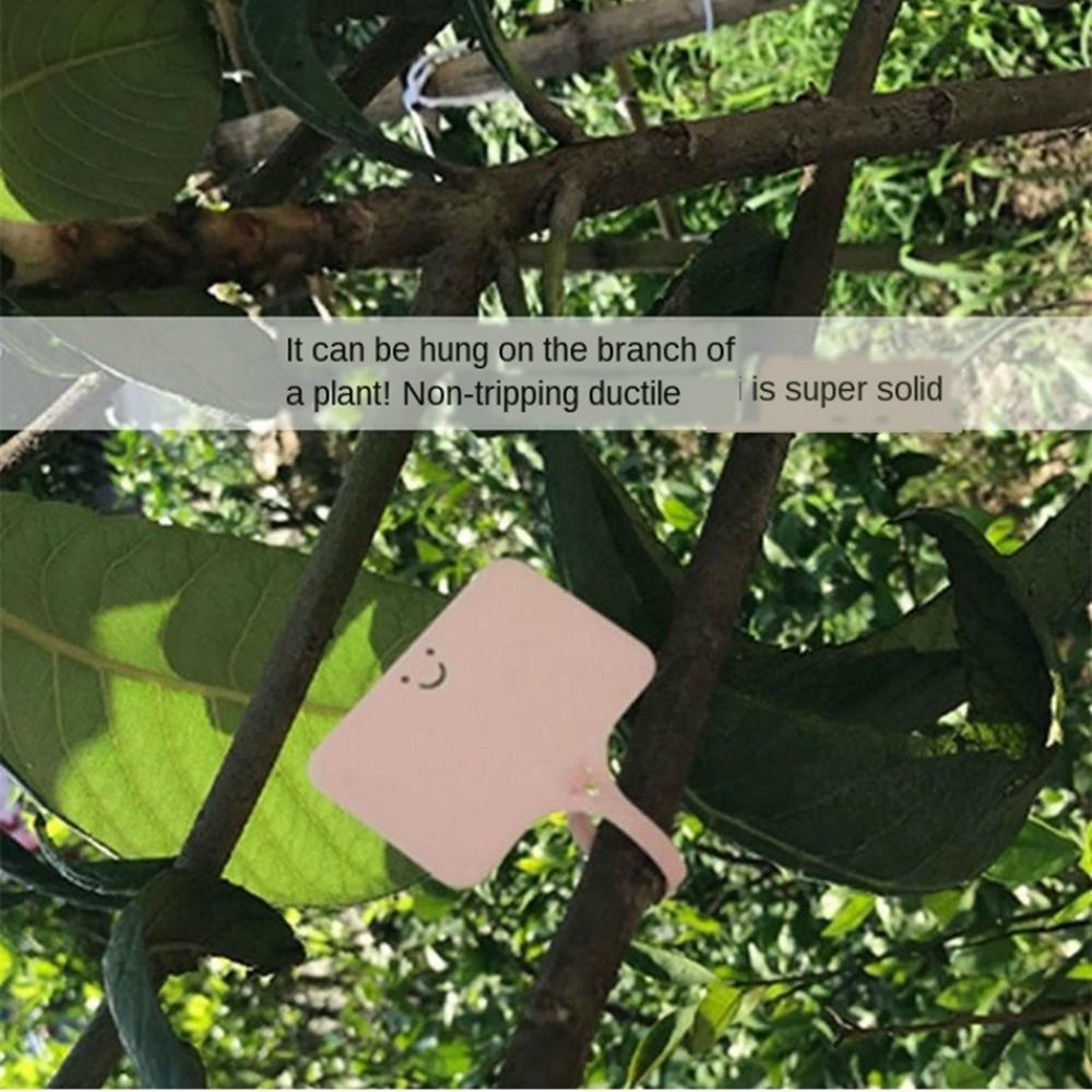 Табличка для письма с растениями, тепличная карточка, метки для рассады, садовые этикетки, классификационные маркеры