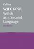 Книга WJEC GCSE Welsh As a Second Language Workbook : Ideal for the 2024 and 2025 Exams