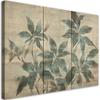 Canvas Print, Textured Plant Leaves On Background