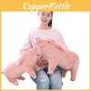 Lovely Beach Pig Shaped Plush Toy With Cotton Filling In Four Sizes For Gift And Collectibles
