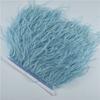 Feather1M 5M 10Meters Ostrich Feather Skirt Fringe Trims 10-15CM Ostrich Feather Ribbon Feathers for Crafts Wedding Feathers Decoration