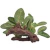 Silk Lifelike Faux Green Simulated Underwater Artificial Plants Turtle Jar Ornament Aquarium Plants Ficus Tree