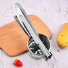 Stainless Steel 3 Interchangeable Fineness Discs Potato Ricer Multifunctional Masher Fruit and Vegetable Tools