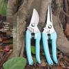 Florist's Special Pruning Shears for Flowers, Branches, Bonsai, and Fruit Picking