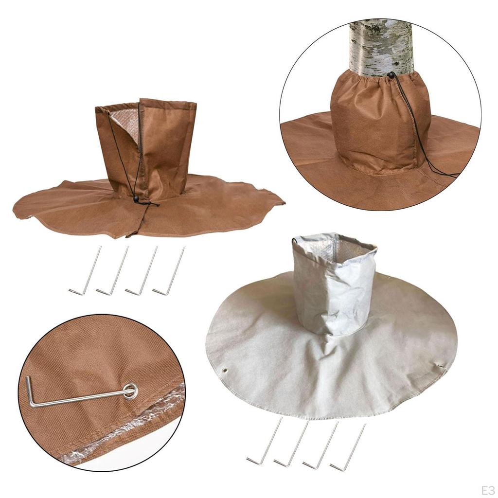 Корень пальмы для зимы, укрытие растений в холодных условиях