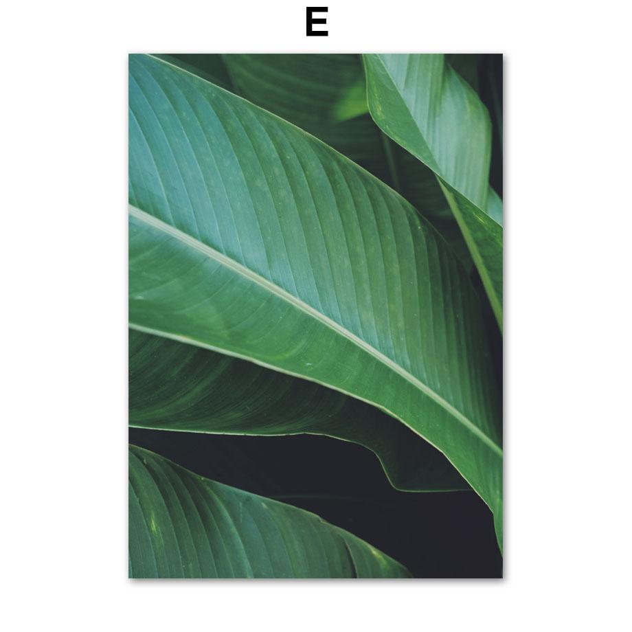 Свежие зеленые растения папоротники банановый лист плакаты на скандинавскую тему и принты холст живопись настенные художественные фотографии для гостиной домашний декор