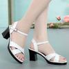 Women Fashion Black Comfort Summer Hollow Open Toe Square Heel Shoes Lady Spring Buckle Strap Open Toe Heels A9511