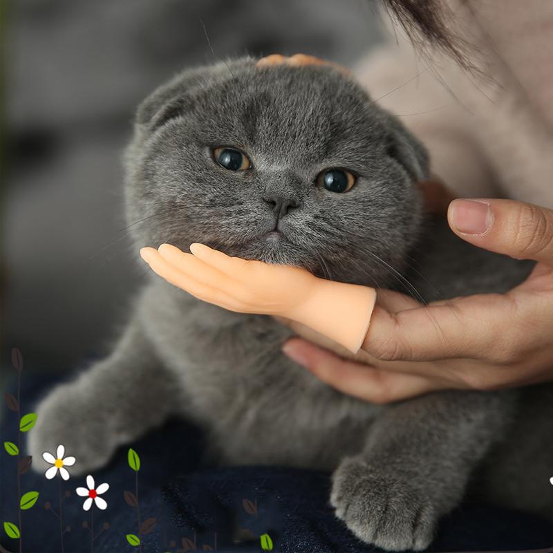 Забавный мультяшный набор креативных мини-кукол на пальцы, мягкие ручки, модель с пятью пальцами, дразнящие движения, игрушки для кошек и домашних животных, подарок на Хэллоуин.