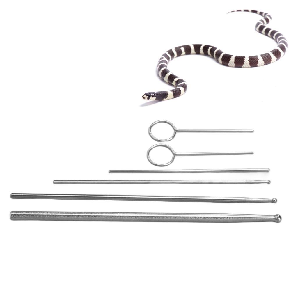 6pcs Anti Allergy Snake Sexing Probe Stainless Steel Round Head Probe Reptile Sexing Probe Pet Care
