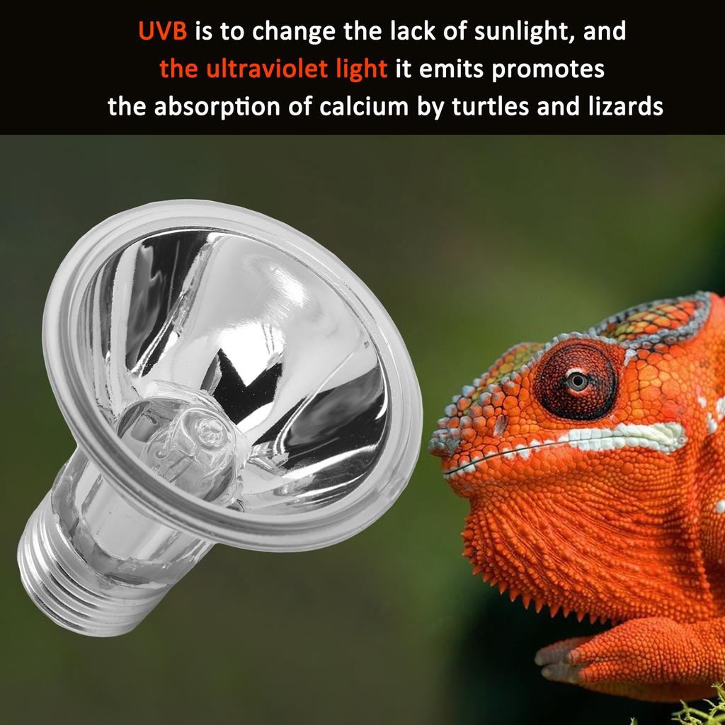 Reptiles Sun Basking Heating Lamp Bulbs Amphibian UBACelsiusUVB Sunbathe Bulb for