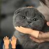 Маленькие ручные пальчиковые куклы Мини-руки Куклы Игрушка-непоседа для детского сада Малыш Семейная игра для рассказывания историй Реквизит 4/10 шт.
