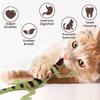 Catnip Lizard Toys Chew Bite Resistant Toys for Indoor Cats Relief Teeth Cleaning Interactive Funny Kitten Cat Halloween Gifts