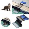 Animal Pool Escape Ramp Waterproof Wear-resistant Scratch-resistant Great Friction Anti-slip Rescue Small Animal Mesh Frog Saver