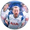 Tottenham Hotspur FC Фотография Футболиста