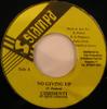7inch Record CHRISINTI - No Giving Up NONE Stampa 2002 Jamaica Reggae, Ska & Dub Used