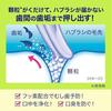 Зубная паста Clear Clean Натуральная мята 170г 3 шт. + Зубной порошок в комплекте Квази-препарат
