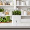 Large Capacity Fresh Herb Keeper Plastic Herb Lettuce Keeper Vanilla Bean Storage Box  Mint