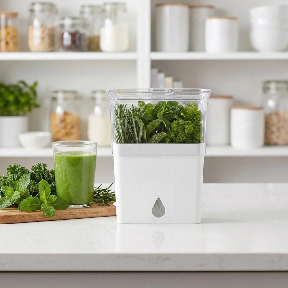Large Capacity Fresh Herb Keeper Plastic Herb Lettuce Keeper Vanilla Bean Storage Box Mint